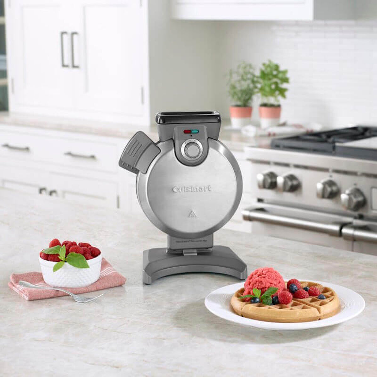 Discontinued Vertical Waffle Maker