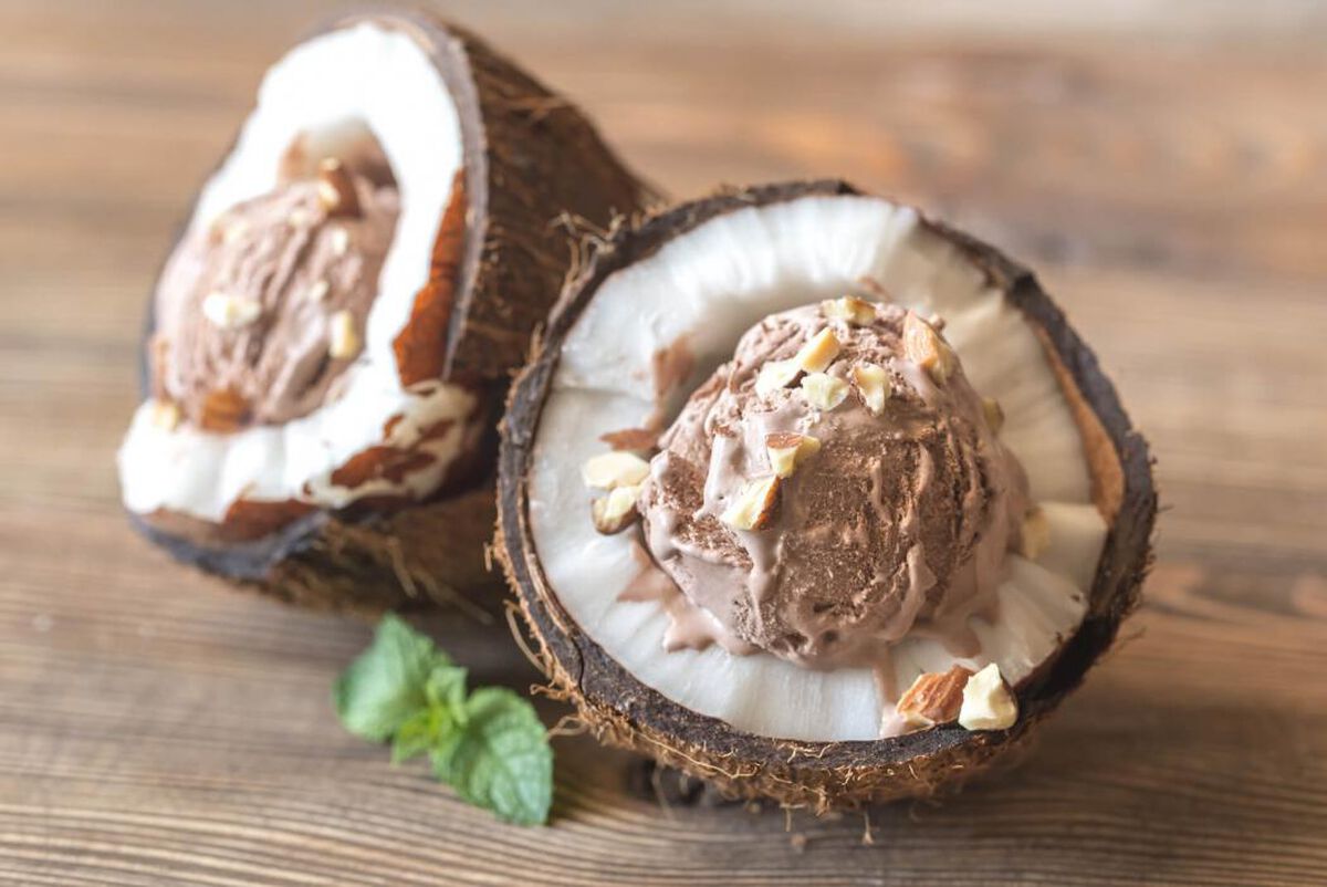 Coconut Almond Chip Dairy-Free Ice Cream-1