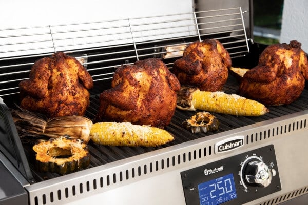Cuisinart Bluetooth Easy Connect Thermometer with 2 Meat Probes